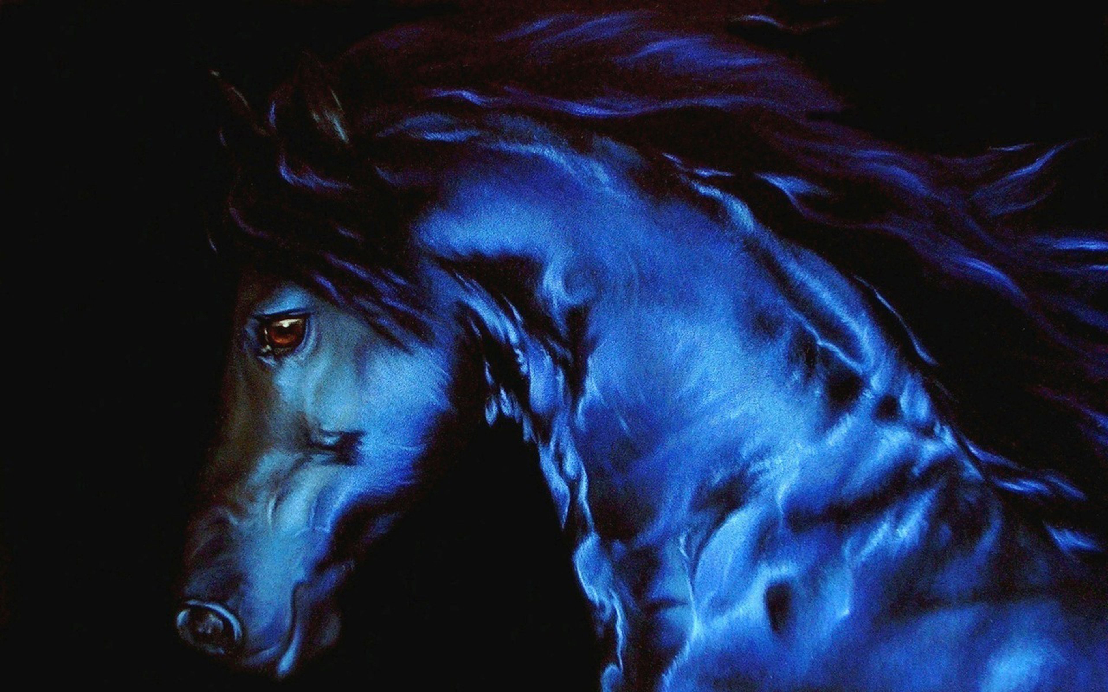 Black Horse Wallpapers - 4k, HD Black Horse Backgrounds on WallpaperBat