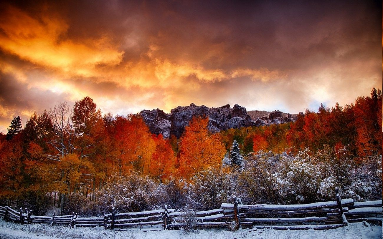 Fall Snow Wallpapers - 4k, HD Fall Snow Backgrounds on WallpaperBat