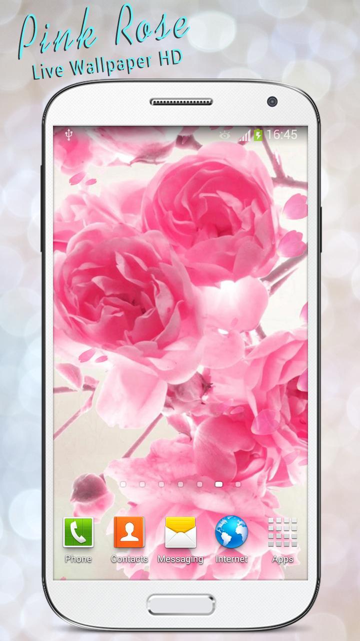 Pink Rose Mobile Wallpapers - 4k, HD Pink Rose Mobile Backgrounds on ...