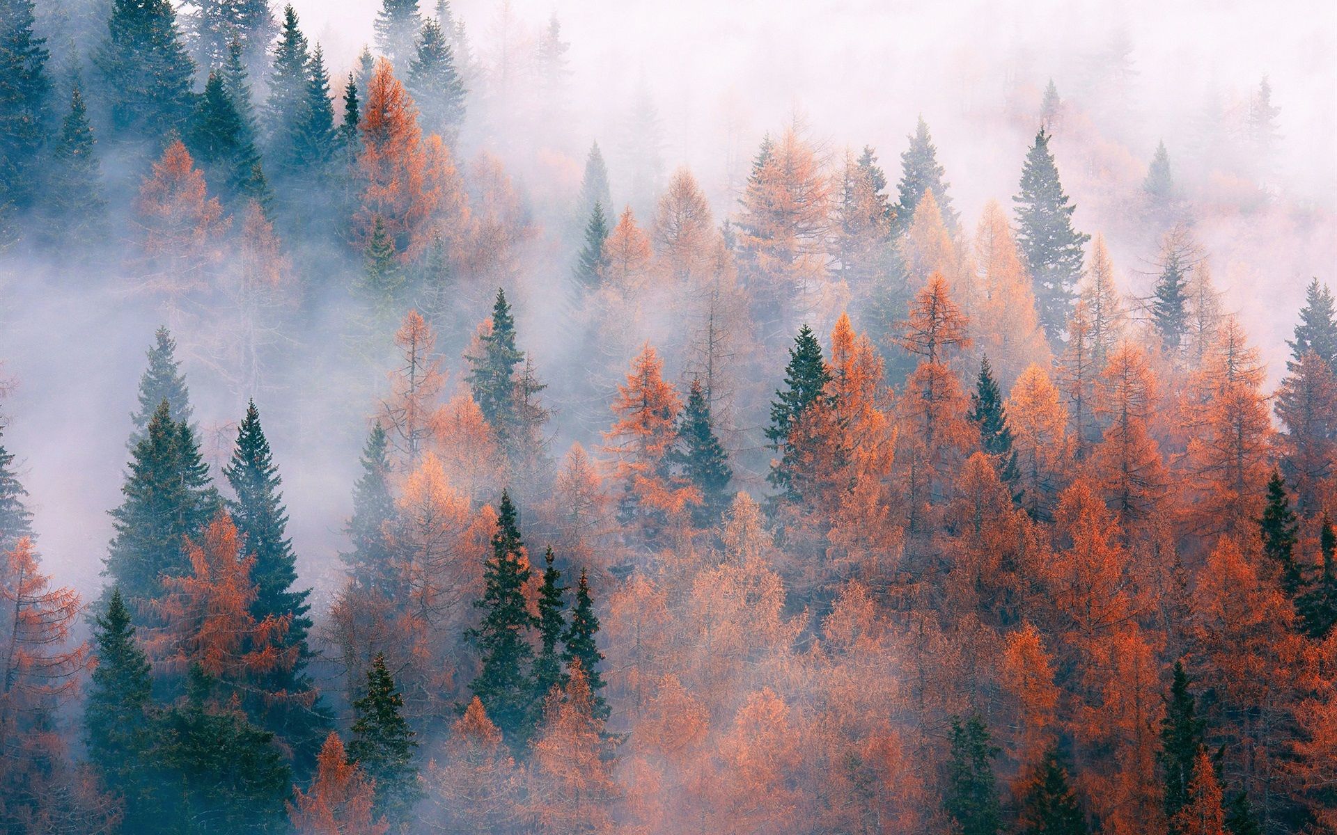 Fall Aesthetic Desktop Wallpapers - 4k, HD Fall Aesthetic Desktop