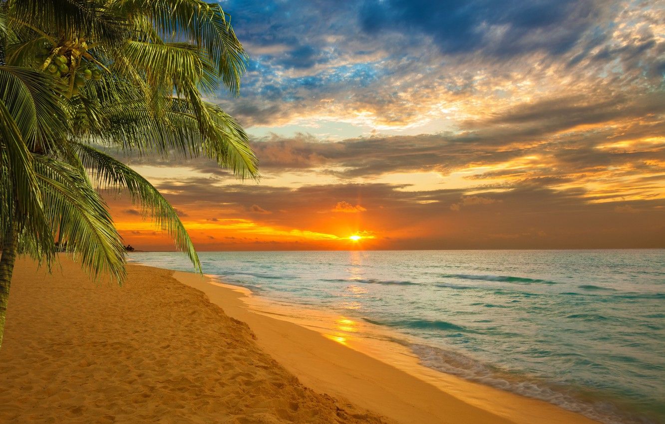 Caribbean Sunset Wallpapers - 4k, HD Caribbean Sunset Backgrounds on ...