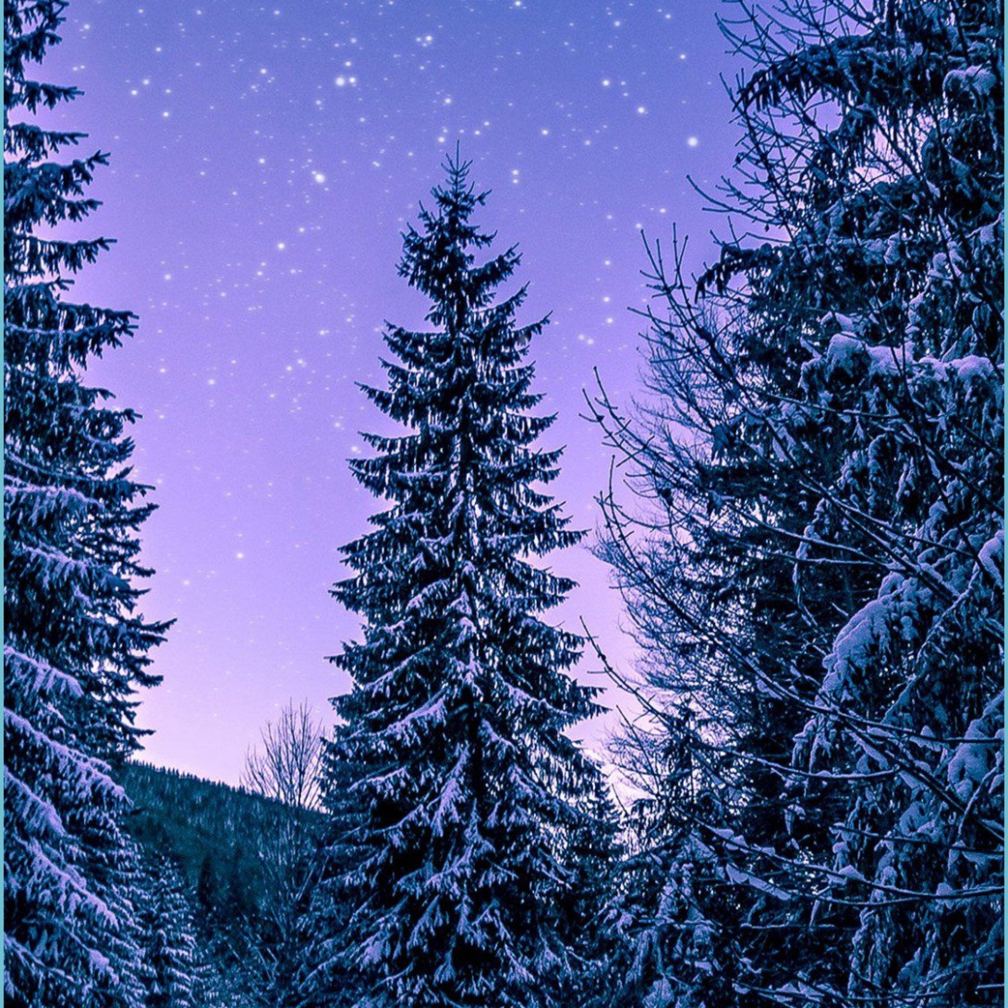 Purple Winter Wallpapers - 4k, HD Purple Winter Backgrounds on WallpaperBat