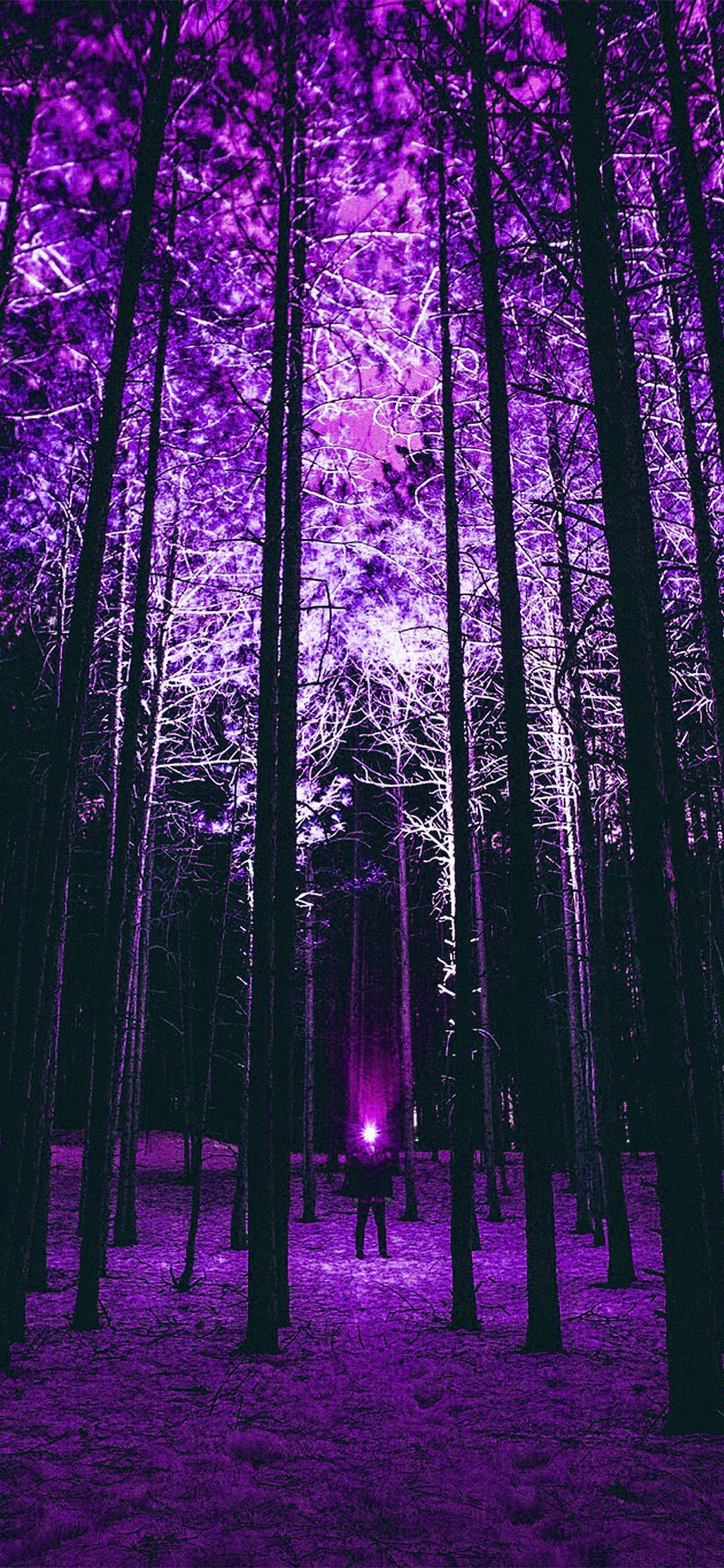 Purple Nature Wallpapers - 4k, HD Purple Nature Backgrounds on WallpaperBat