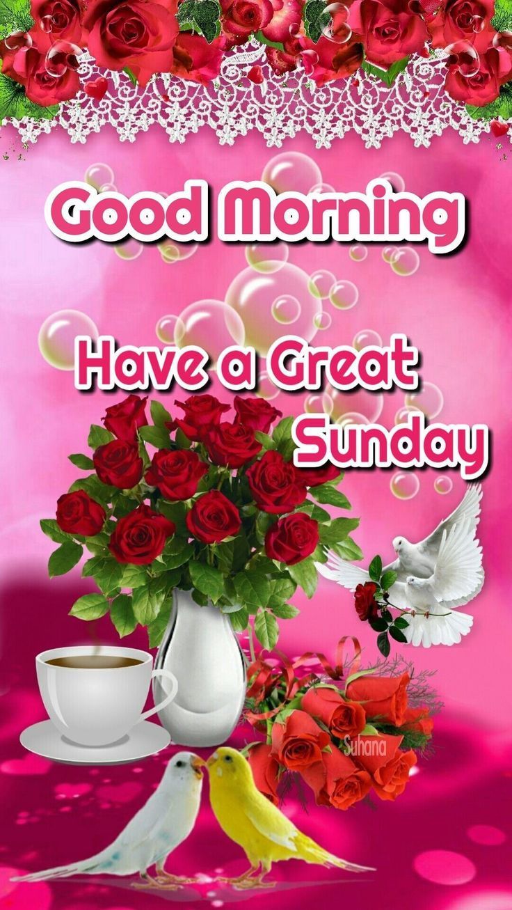 736x1307 Good Morning Happy Sunday HD Images ... Wallpaper