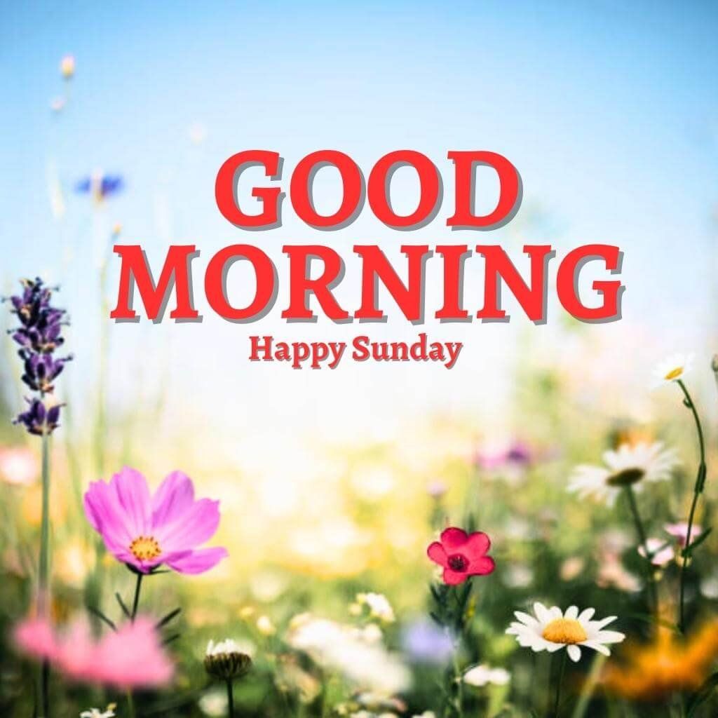 1024x1024 Good Morning Sunday Images, Wishes ... Wallpaper