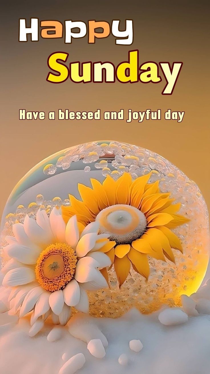 736x1308 Happy Sunday! May the sunshine radiate ... Wallpaper