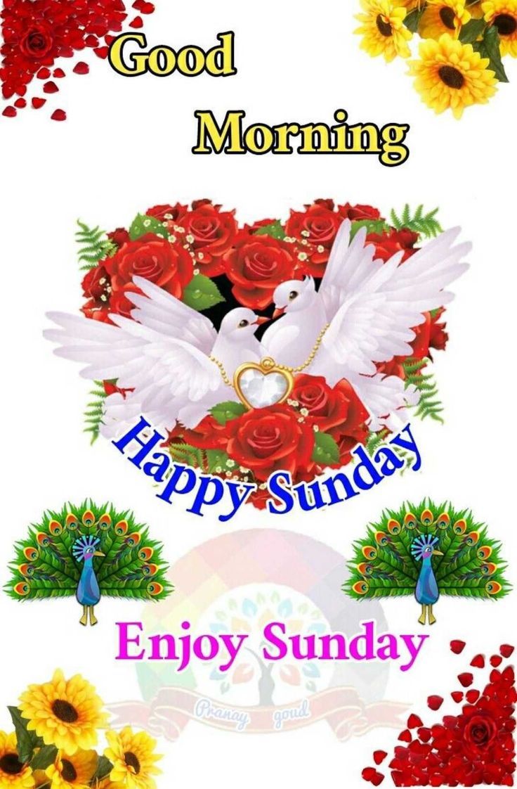 736x1122 Sunday Morning Wallpaper | WhatsPaper Wallpaper