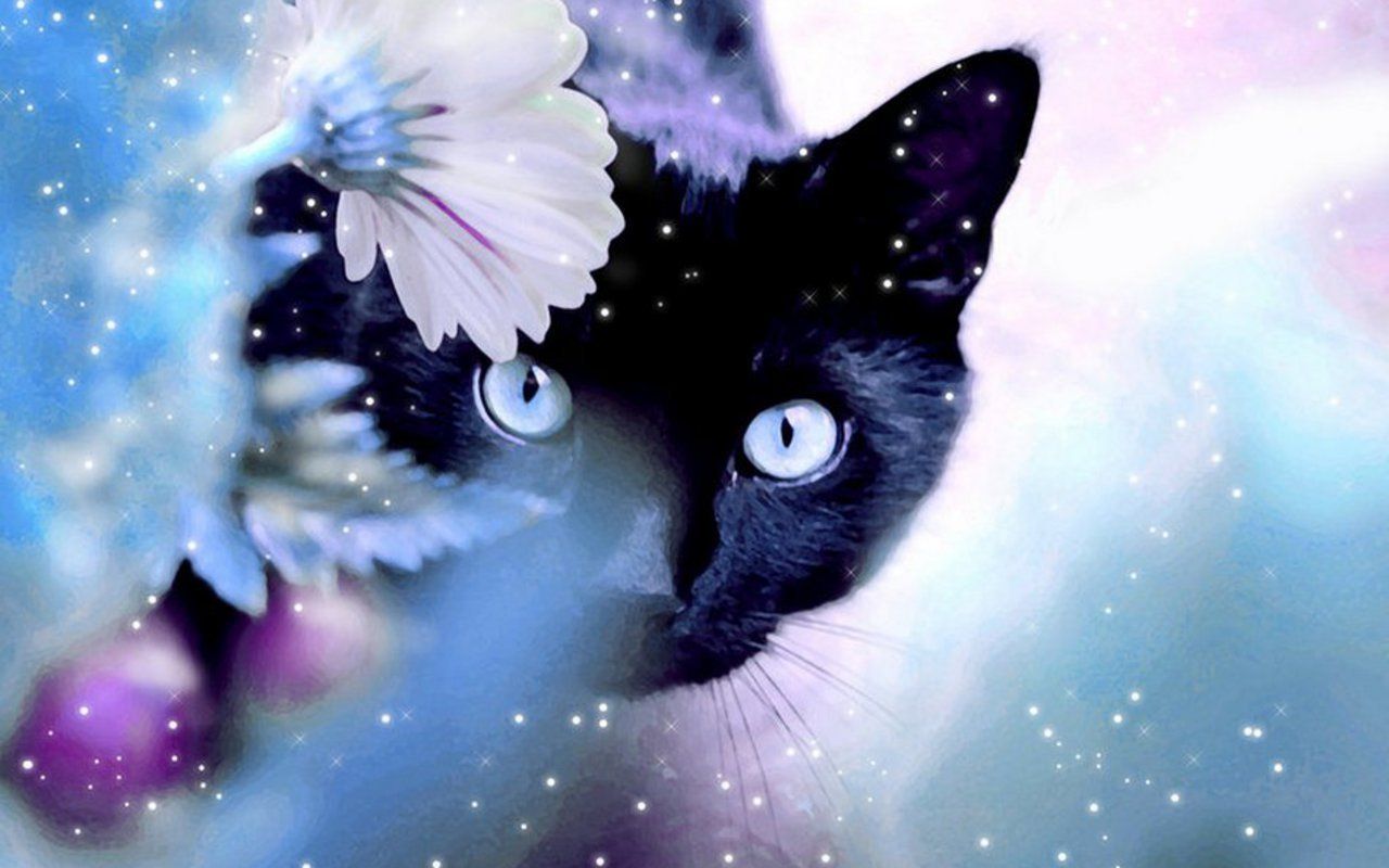 1280x800 Beautiful Background With Cats - HD Wallpaper & Background Download on WallpaperBat