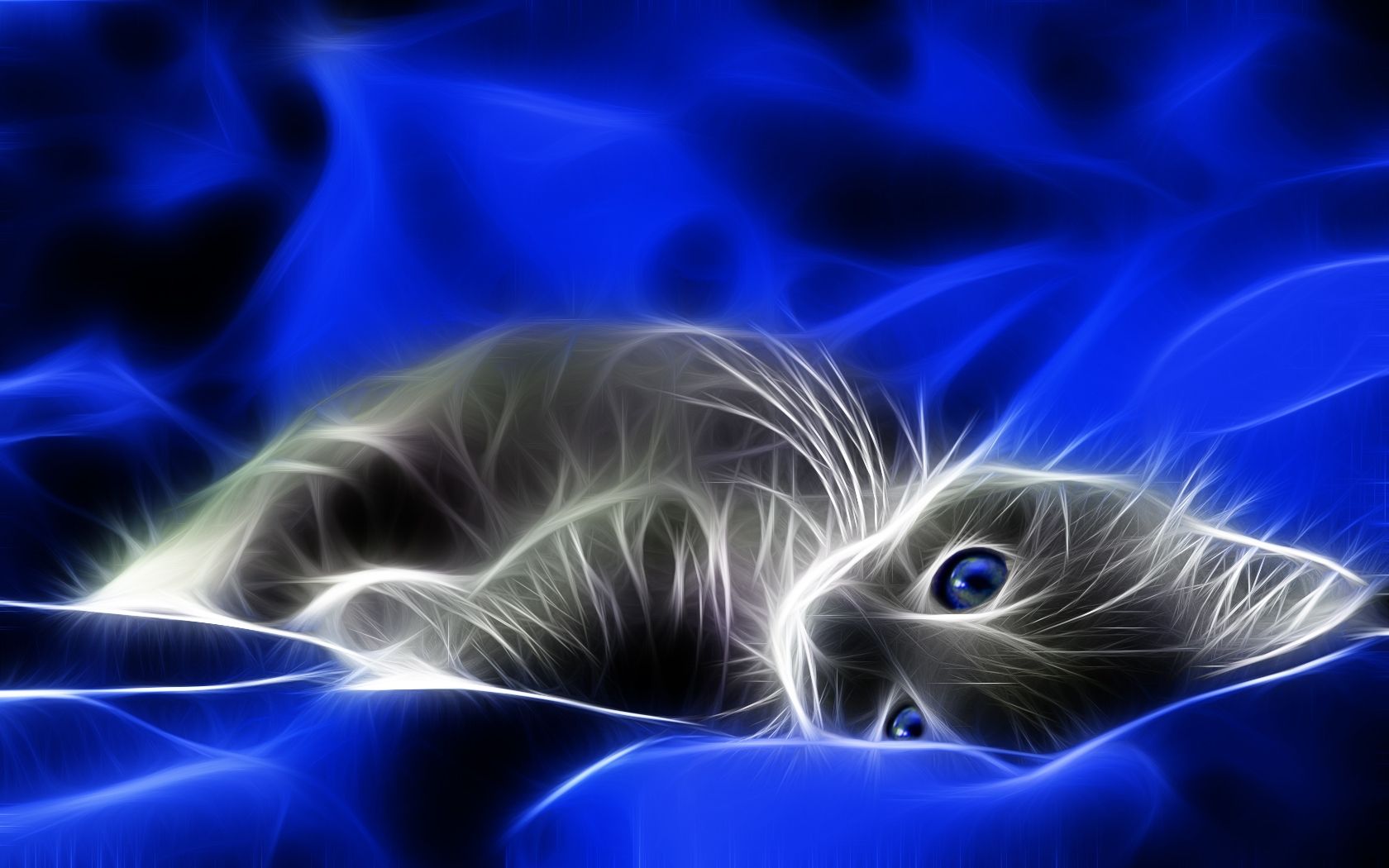 1680x1050 3D Pretty Cat Free PPT Background for your PowerPoint Templates on WallpaperBat