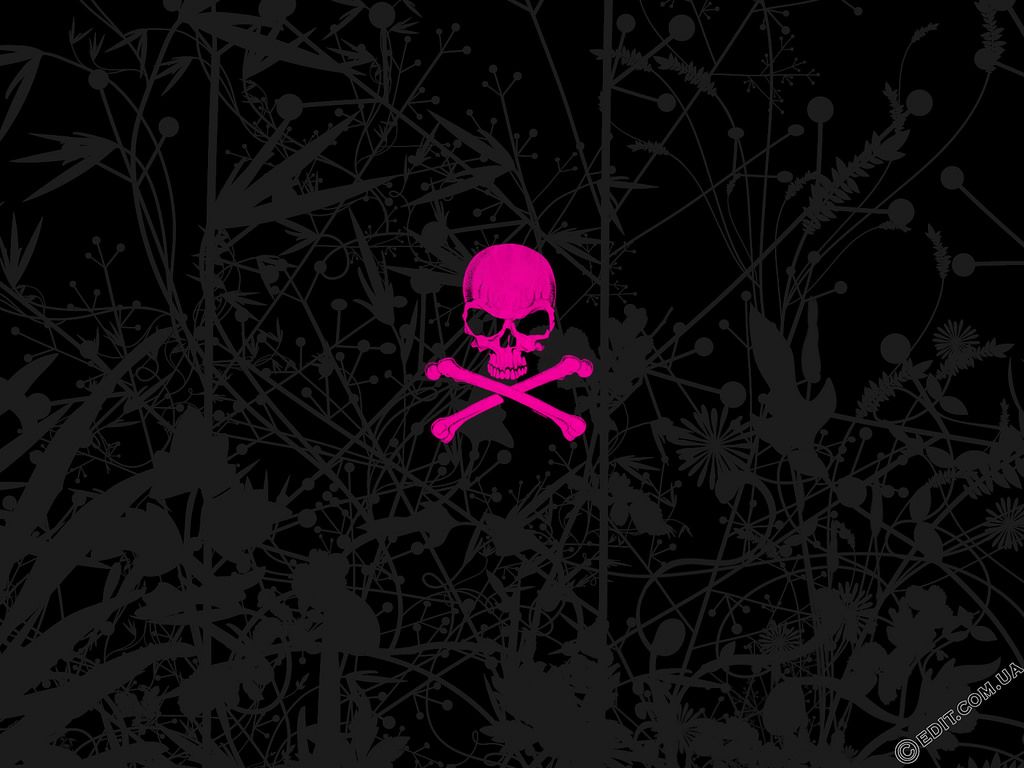 1024x768 Pink Skull Wallpaper - Top Free Pink Skull Background on Wallpaper...