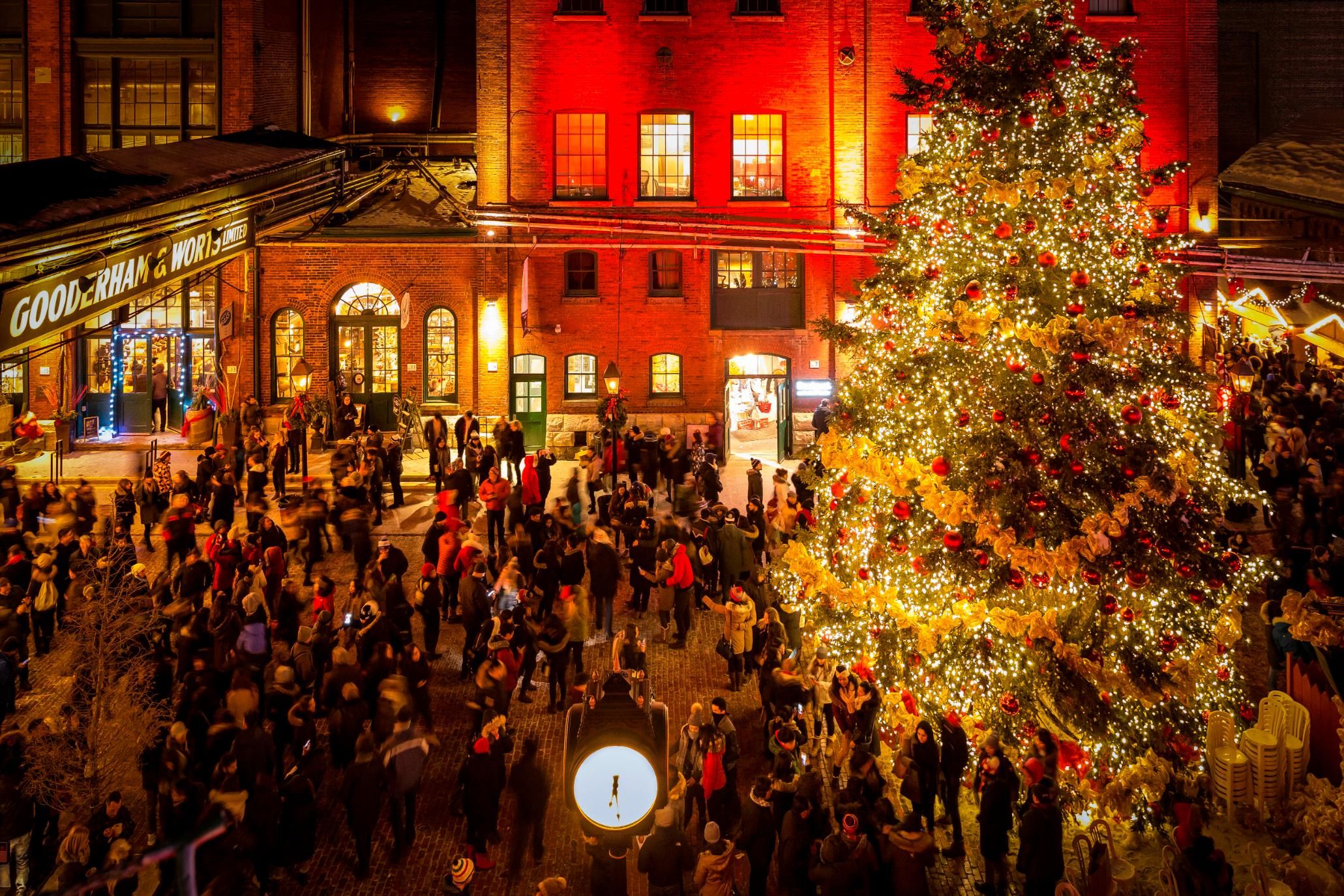 Good christmas. Торонто Toronto Christmas. Новогодняя елка Торонто. Бэкярд Торонто Christmas. Toronto Christmas Market.