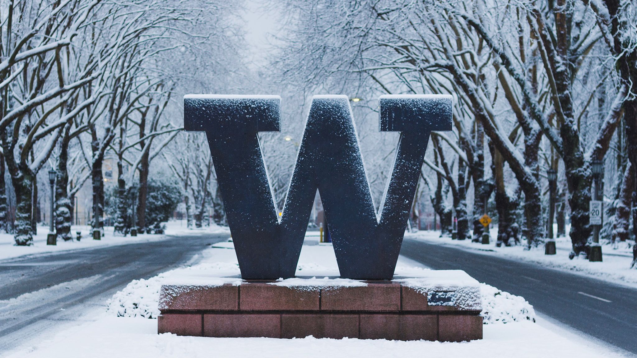 University of washington wallpapers 4k hd university of washington