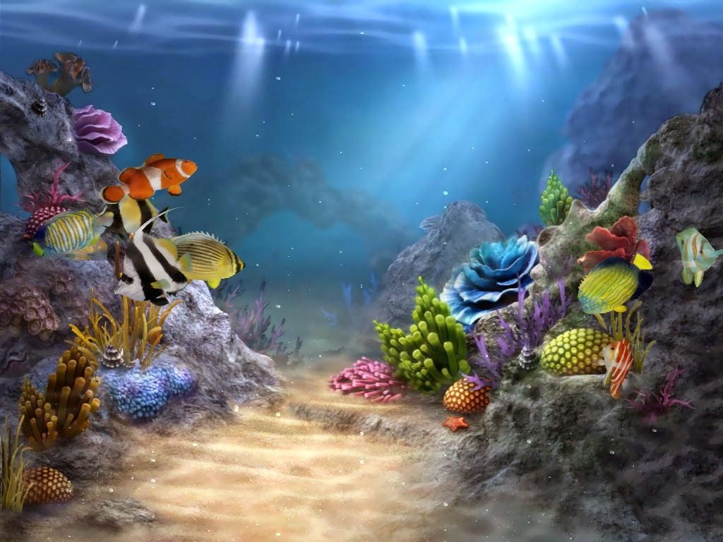 Under the Sea Wallpapers - 4k, HD Under the Sea Backgrounds on WallpaperBat