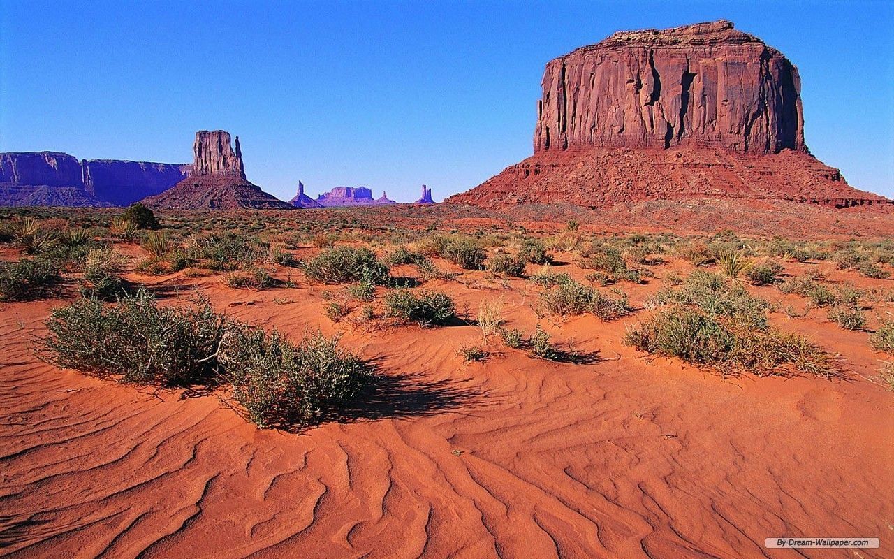 Климат и внутренние воды мексики. Пустыня Сонора Аризона. Штат Юта Долина монументов. Пустыня Сонора Северная Америка. Пустыня Нью Мексико.