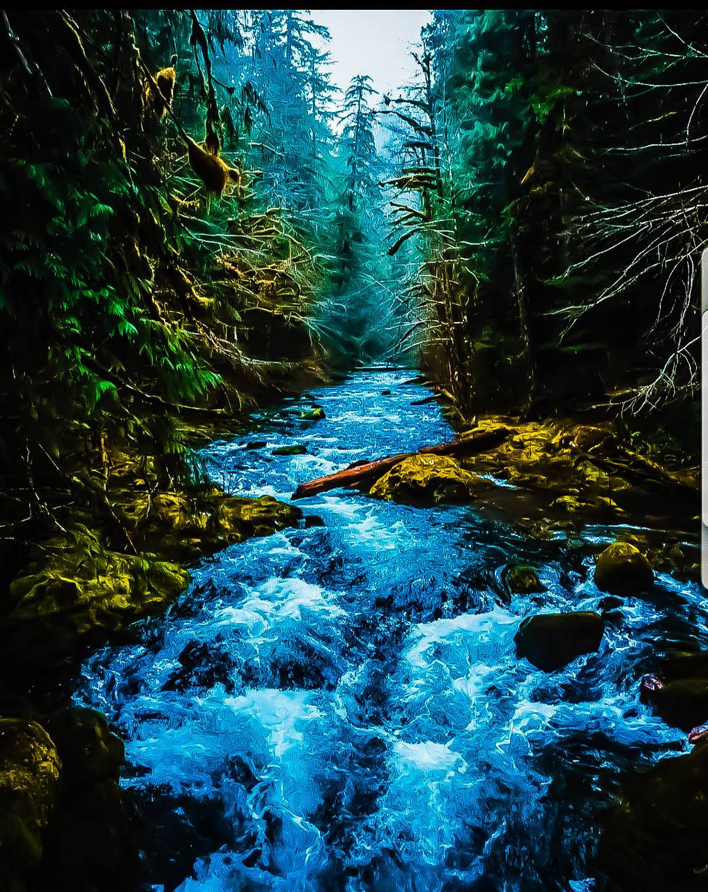 Forest River Wallpapers - 4k, HD Forest River Backgrounds on WallpaperBat