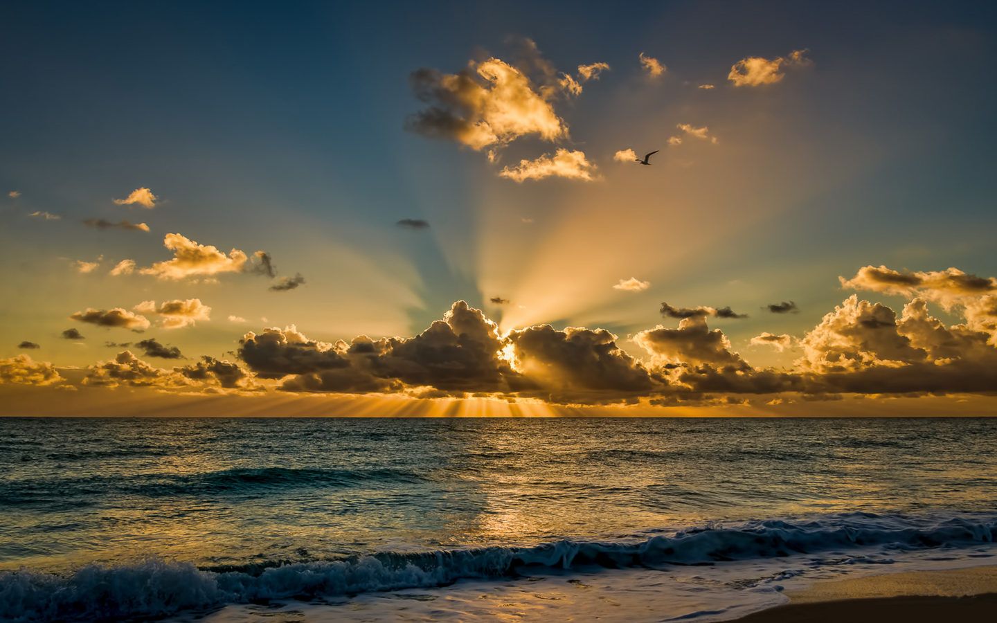 Florida Beach Sunrise Wallpapers - 4k, HD Florida Beach Sunrise ...