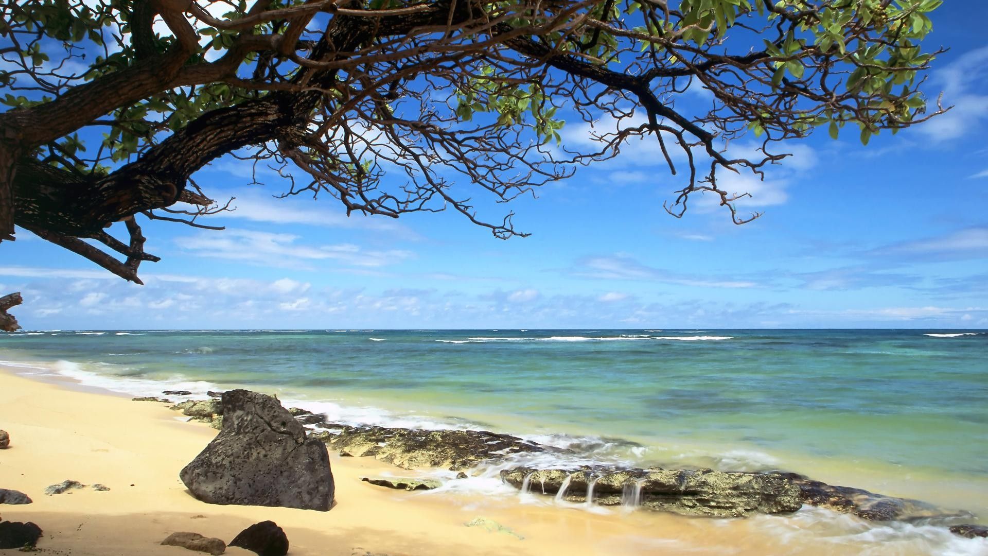 1920x1080 Nature beach Hawaii Oahu wallpaper | 1920x1080 | 60397 | WallpaperUP Wallpaper