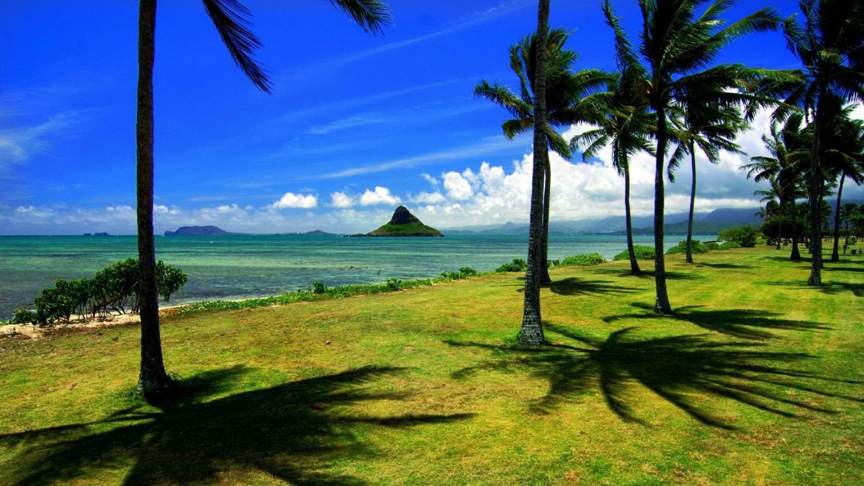 1244x700 Oahu Wallpapers - Top Free Oahu Backgrounds - WallpaperAccess Wallpaper