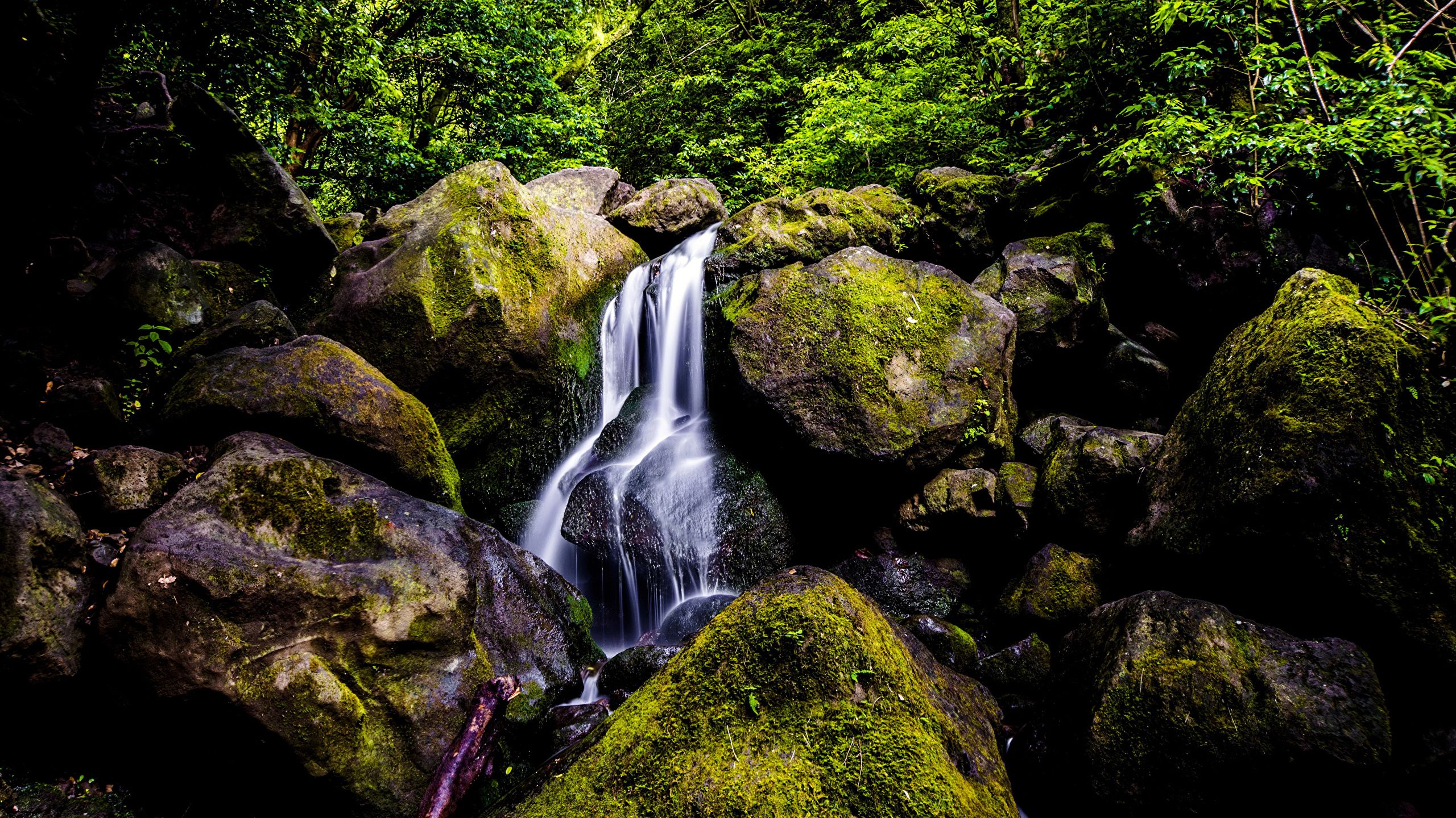 2560x1440 Desktop Wallpapers Hawaii Oahu Nature Waterfalls Moss 2560x1440 Wallpaper