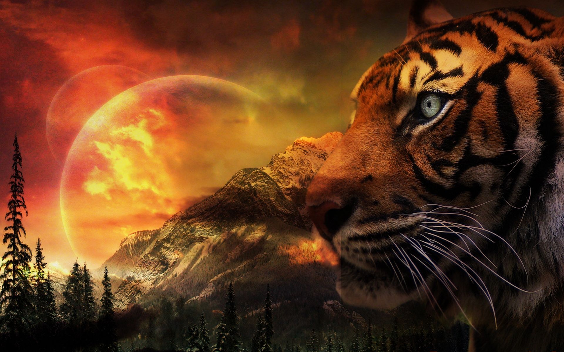 Tiger Art Hd Artist 4k Wallpapers Images Backgrounds Photos And - Riset