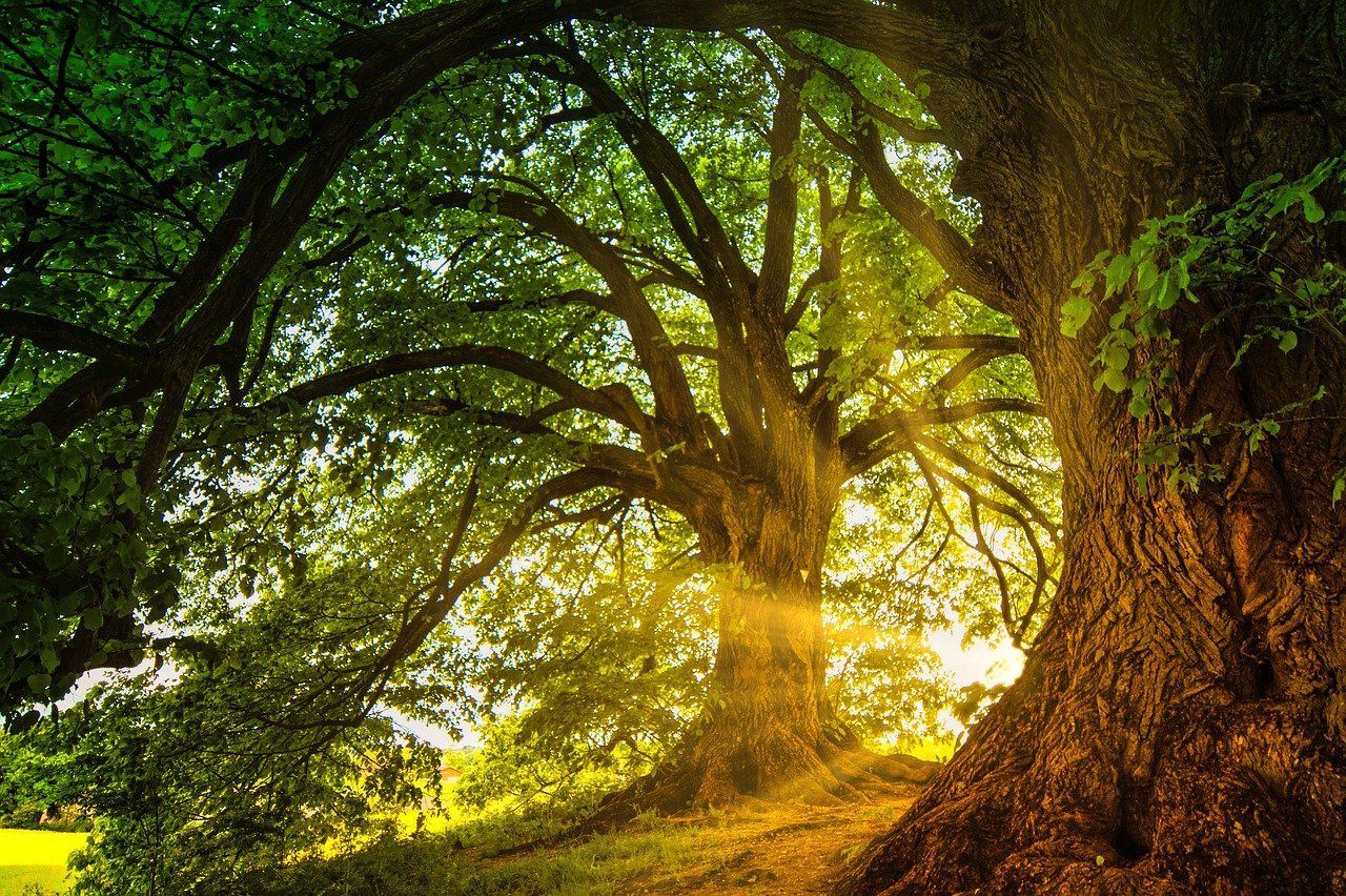 Warm desktop wallpapers 4k hd warm desktop backgrounds on wallpaperbat