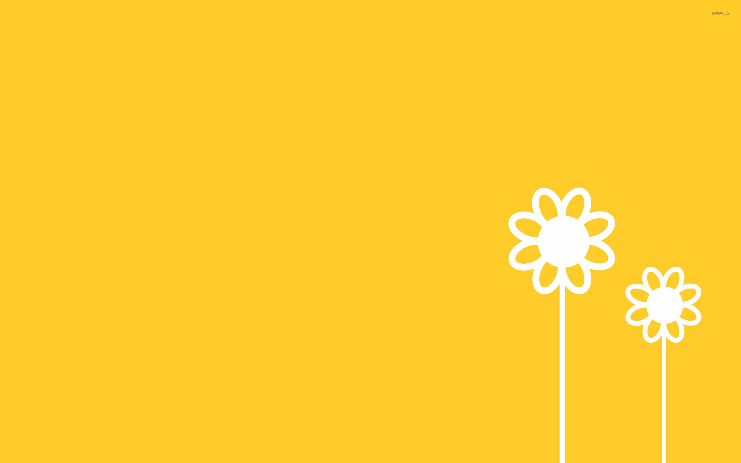 Minimalist Flower Wallpapers 4k Hd Minimalist Flower Backgrounds On Wallpaperbat 