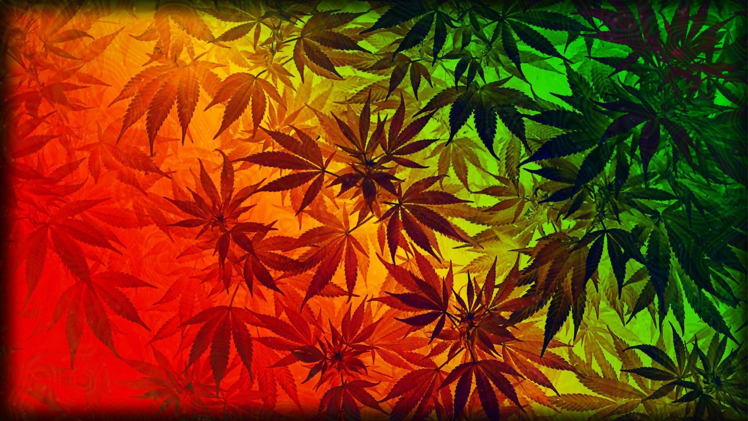 Weed Wallpapers - 4k, HD Weed Backgrounds on WallpaperBat