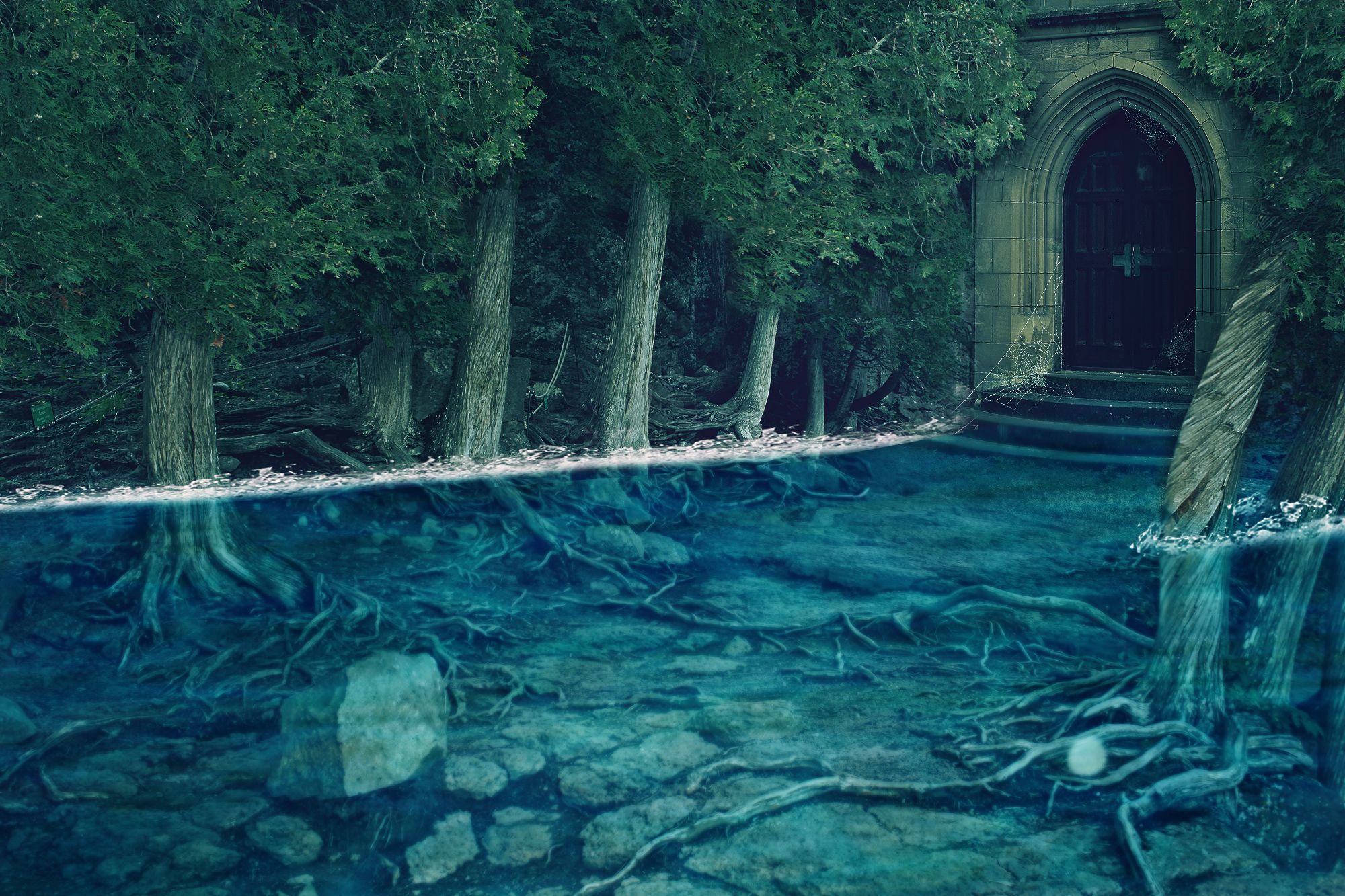 Затопленный лес под водой