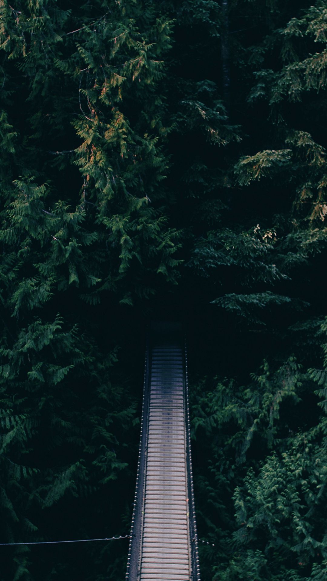 1080x1920 Dense Green Forest Bridge Android Wallpaper | Pemandangan, Lanskap ... Wallpaper