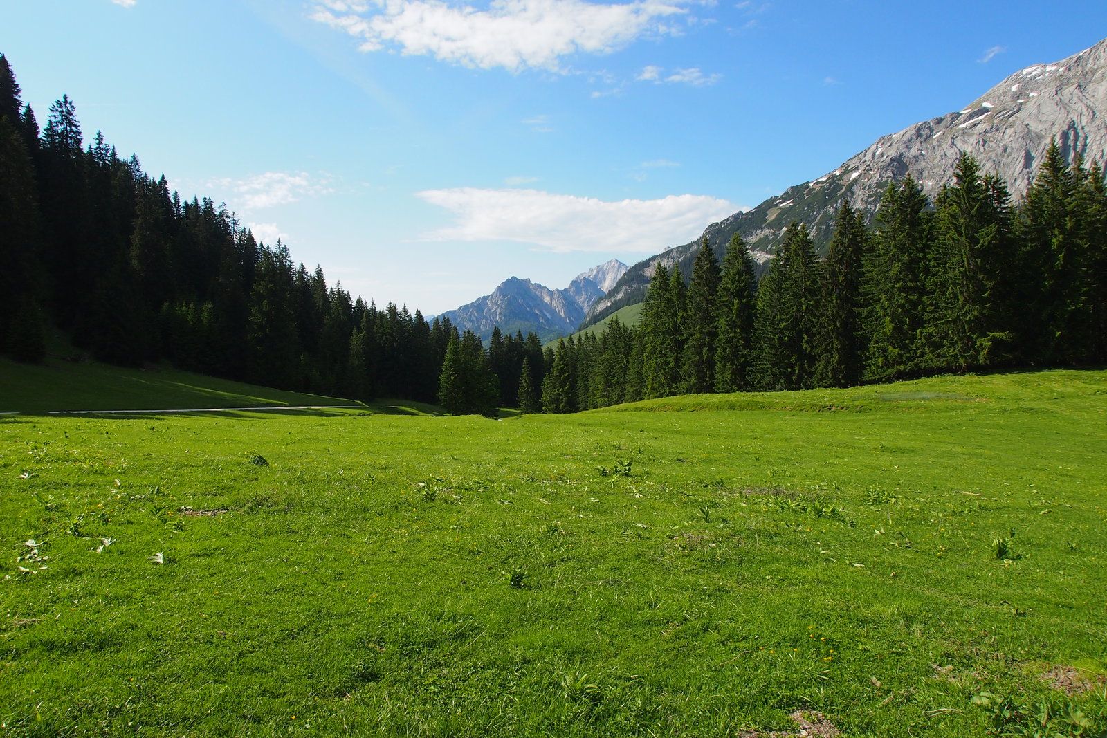 Peaceful Meadow Wallpapers - 4k, HD Peaceful Meadow Backgrounds on ...