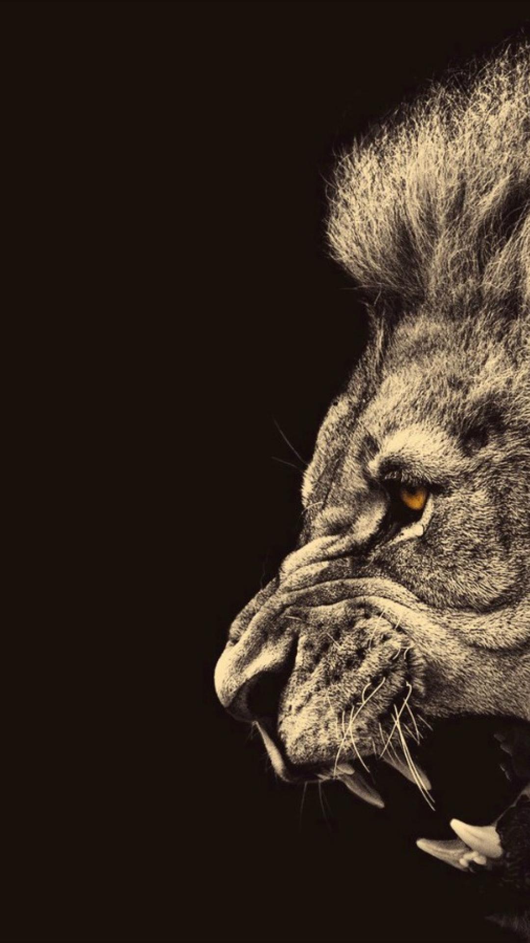 Lion iPhone Wallpapers - 4k, HD Lion iPhone Backgrounds on WallpaperBat