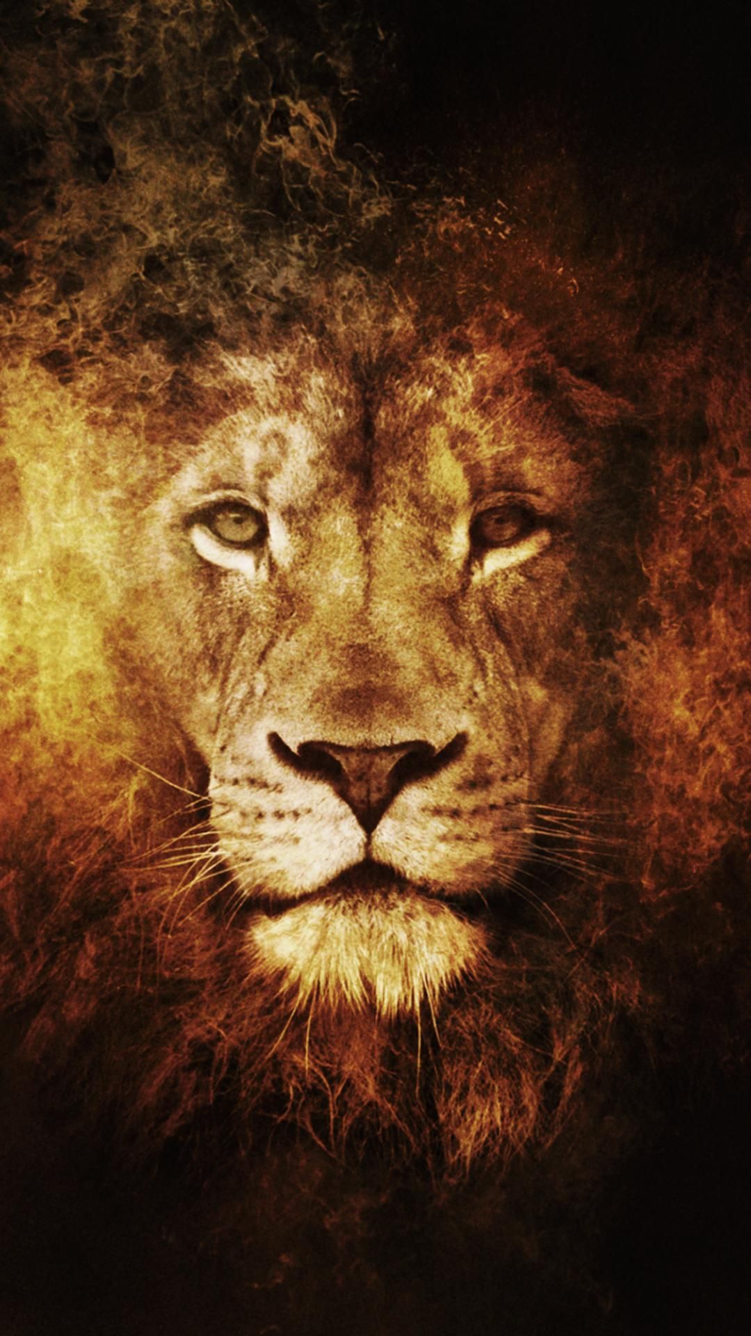 Lion iPhone Wallpapers - 4k, HD Lion iPhone Backgrounds on WallpaperBat