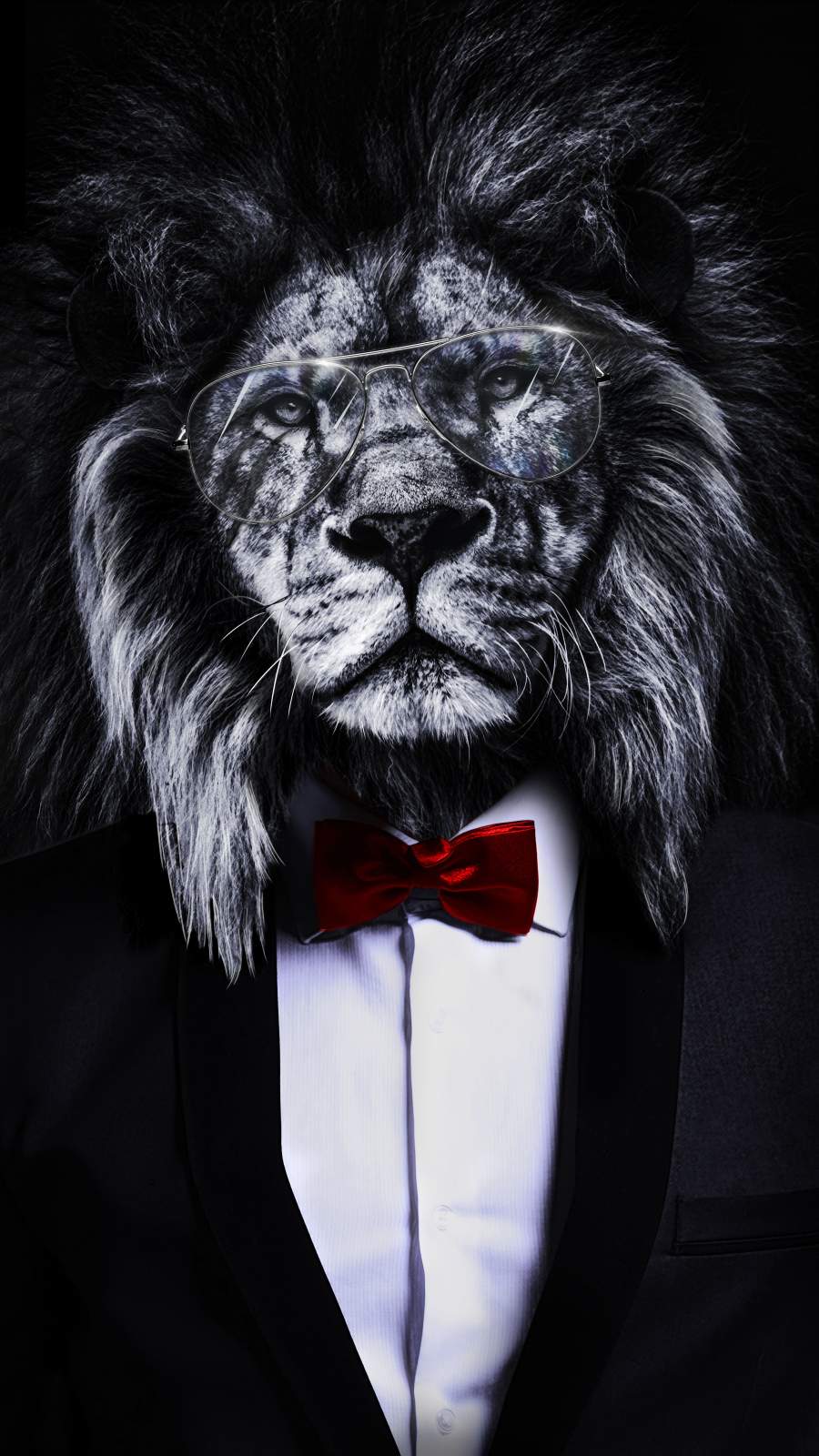 Lion iPhone Wallpapers - 4k, HD Lion iPhone Backgrounds on WallpaperBat