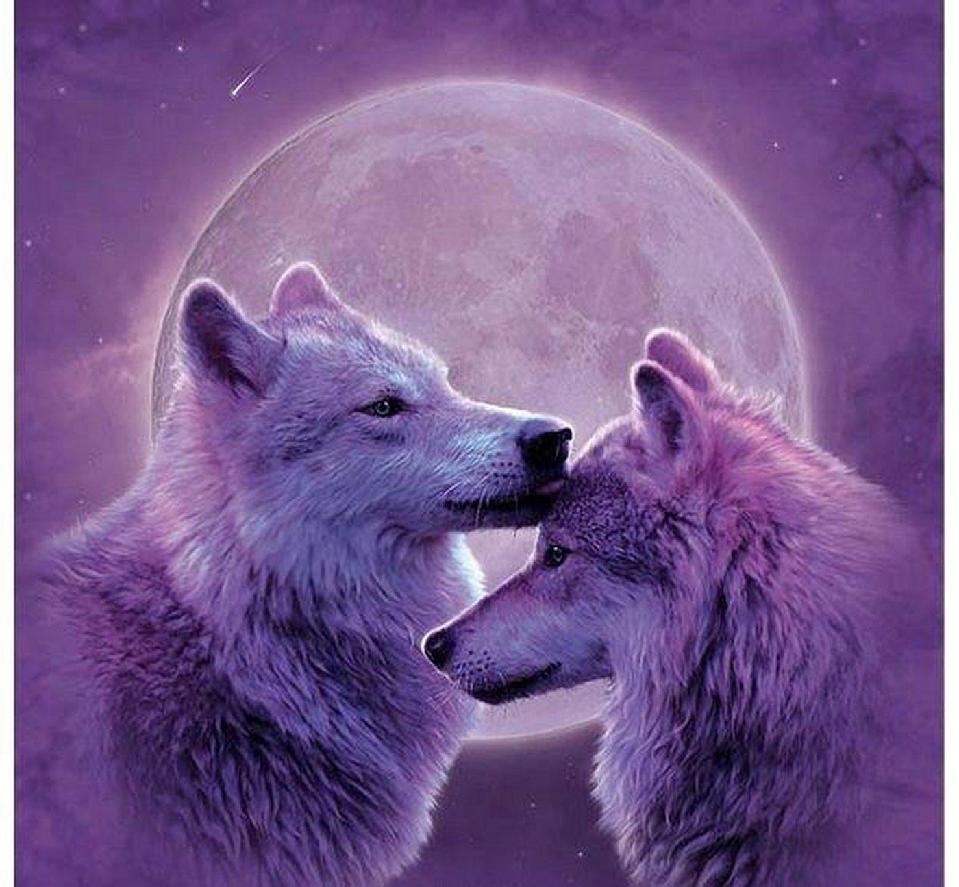 Wolf Couple Wallpapers - 4k, HD Wolf Couple Backgrounds on WallpaperBat