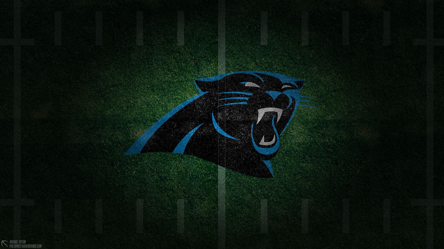 Panther Wallpapers - 4k, HD Panther Backgrounds on WallpaperBat