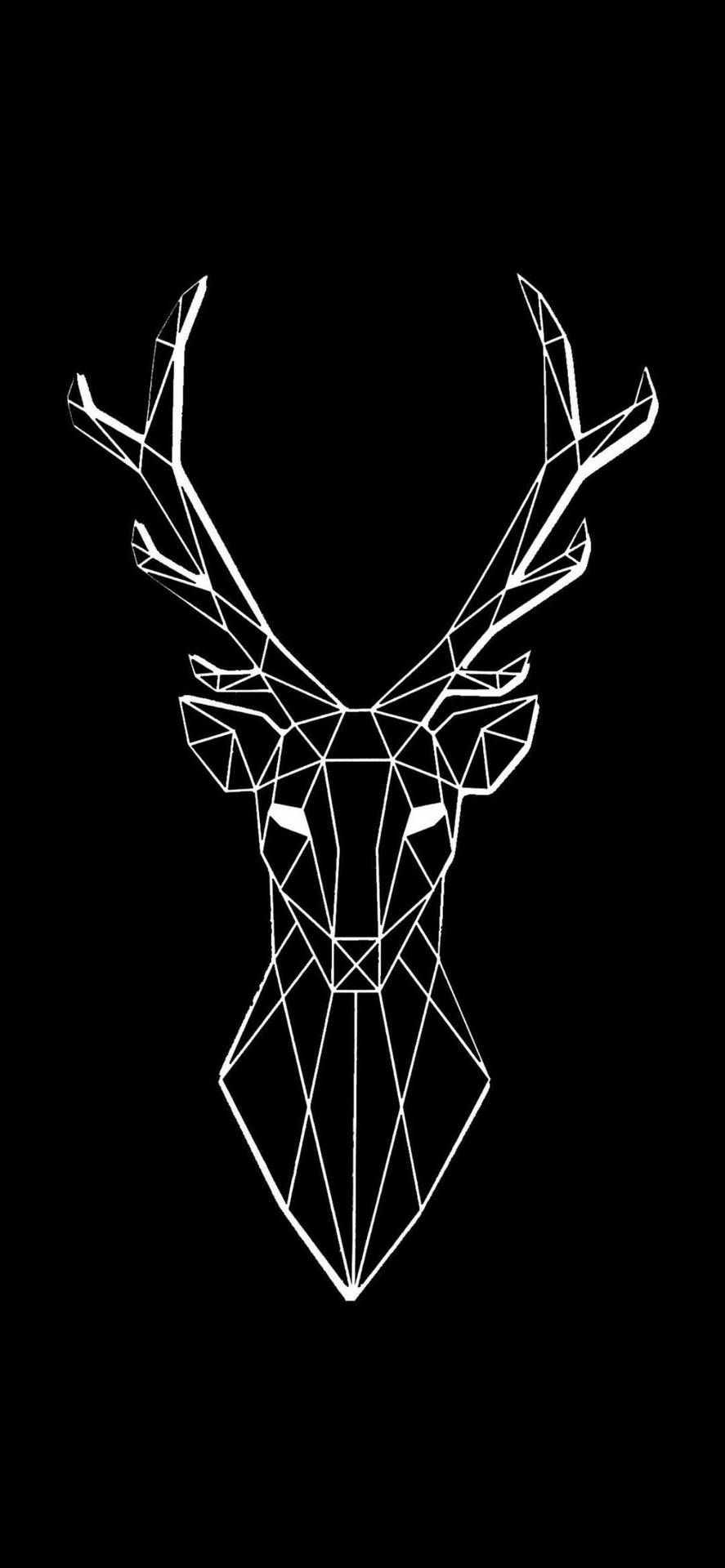 Deer Minimalist Wallpapers - 4k, Hd Deer Minimalist Backgrounds On 