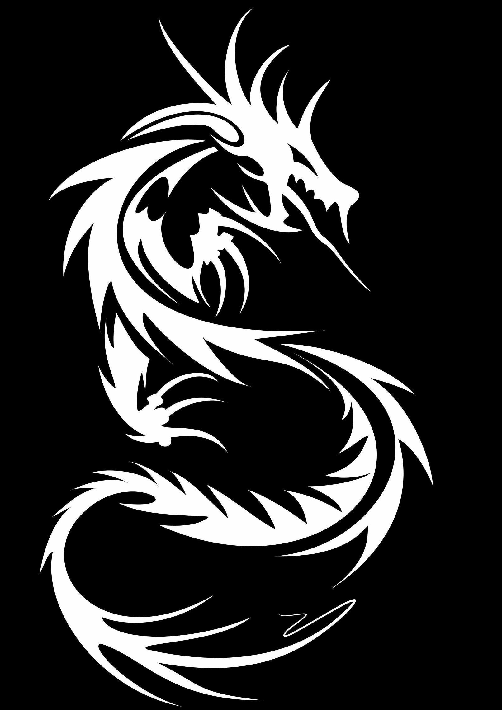 Black And White Dragon Wallpapers - 4k, Hd Black And White Dragon 