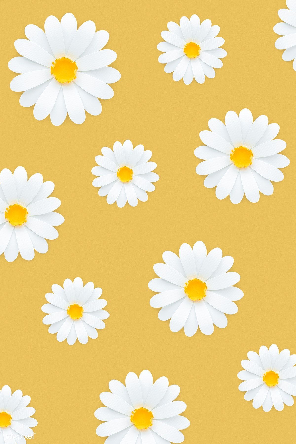 Daisy Bloom Wallpaper  Cute Floral Nursery Wallpaper – Project