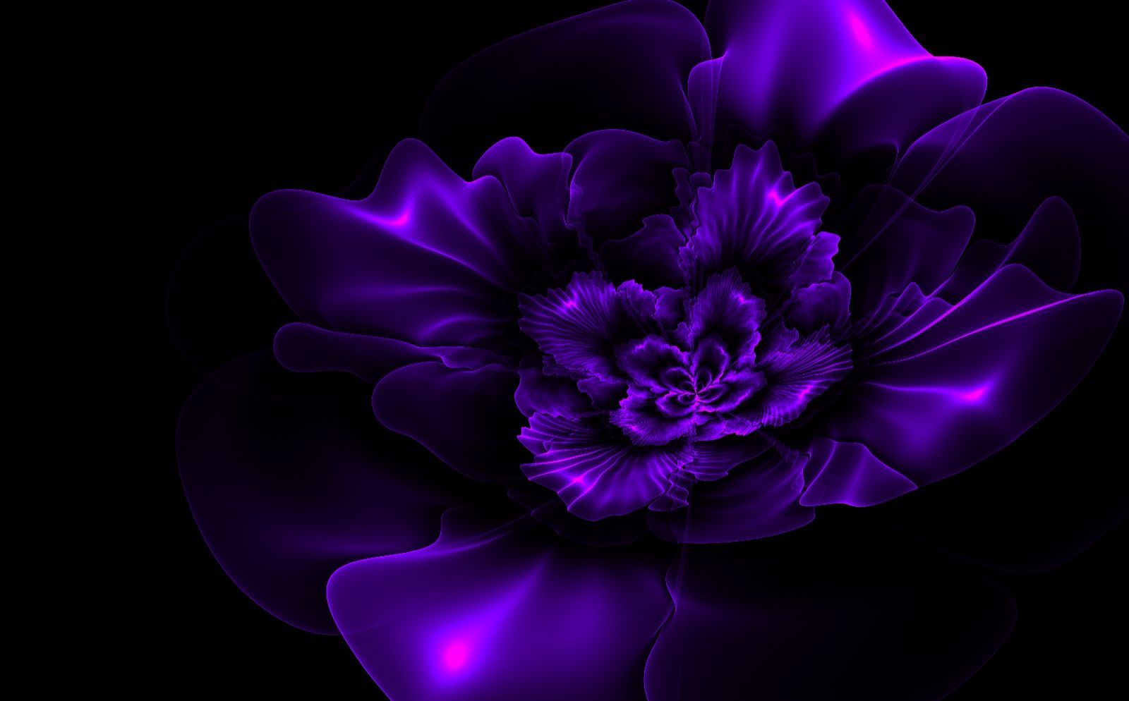 1600x994 Dark purple fractal flower. wallpaper - ForWallpaper.com | Purple flowers  wallpaper, Dark purple flowers, Purple roses wallpaper Wallpaper