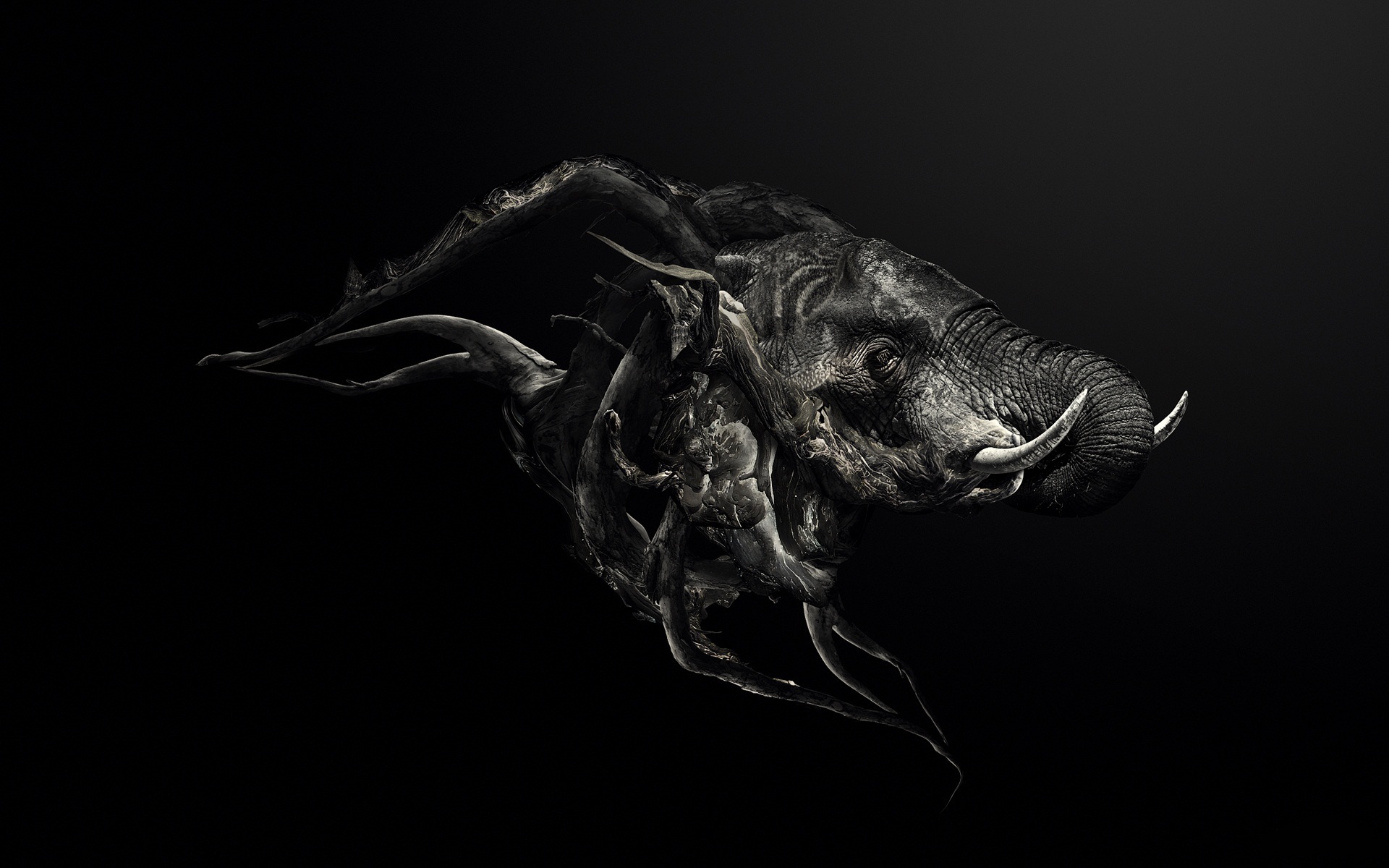 Dark Animal Wallpapers - 4K, Hd Dark Animal Backgrounds On Wallpaperbat