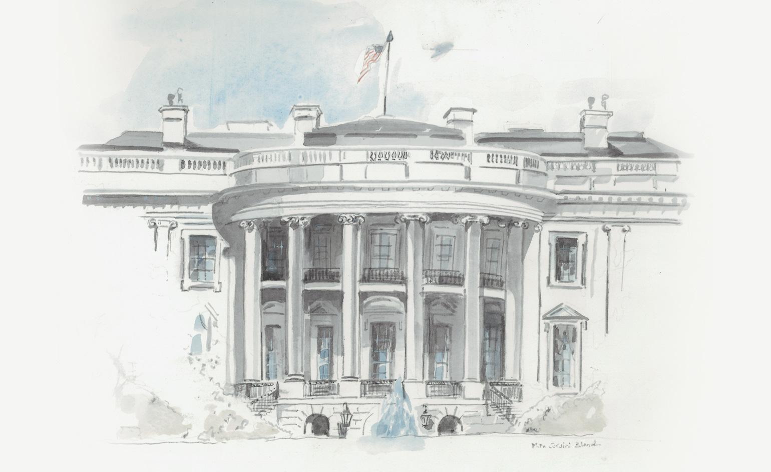 Белый дом арт