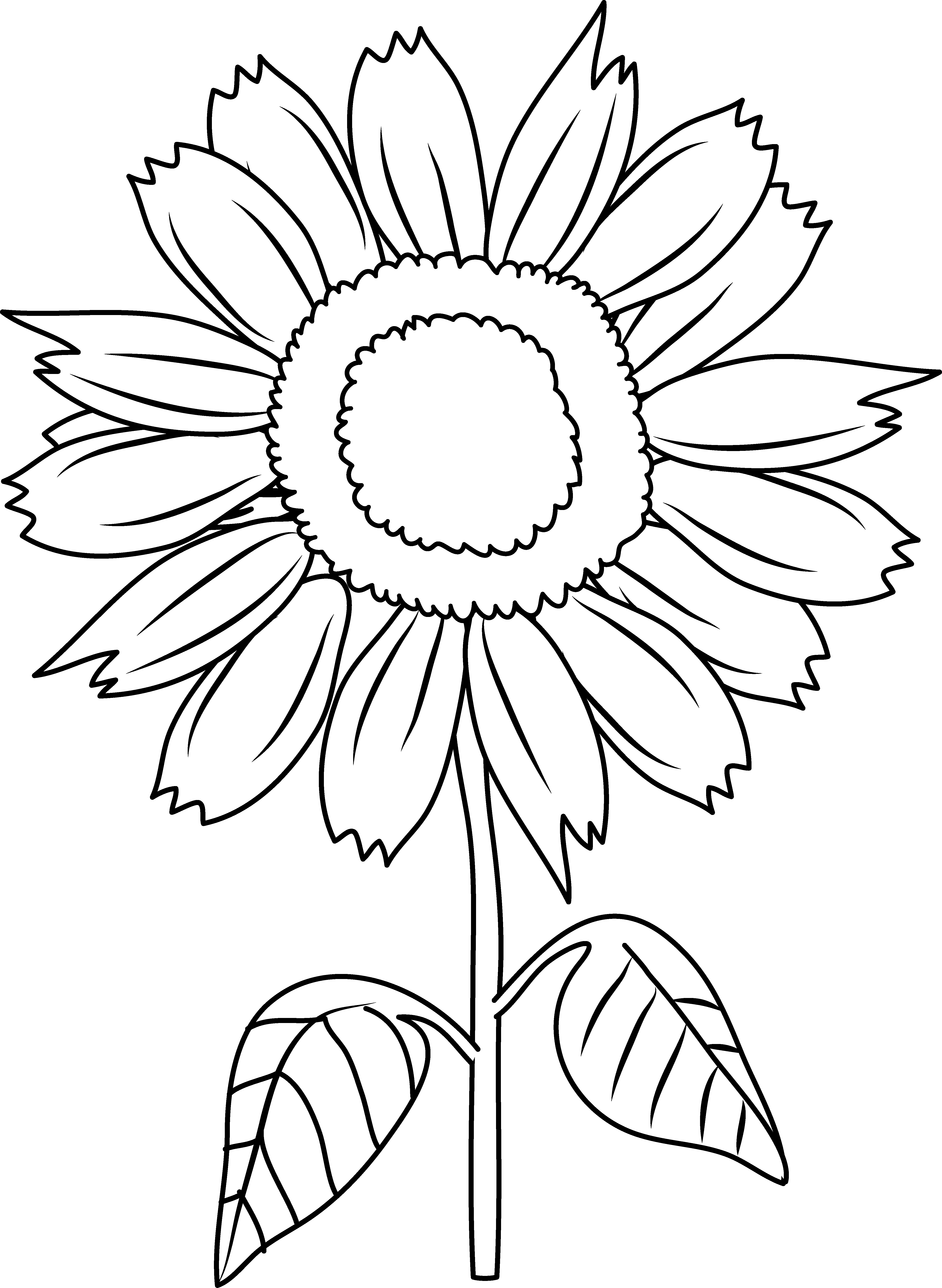 4668x6382 Free Black And White Sunflower Wallpaper, Download Free Clip Art...