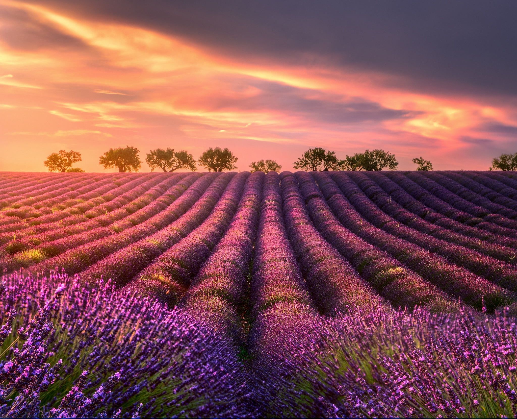 Lavender Fields Clouds Wallpapers - 4k, HD Lavender Fields Clouds ...