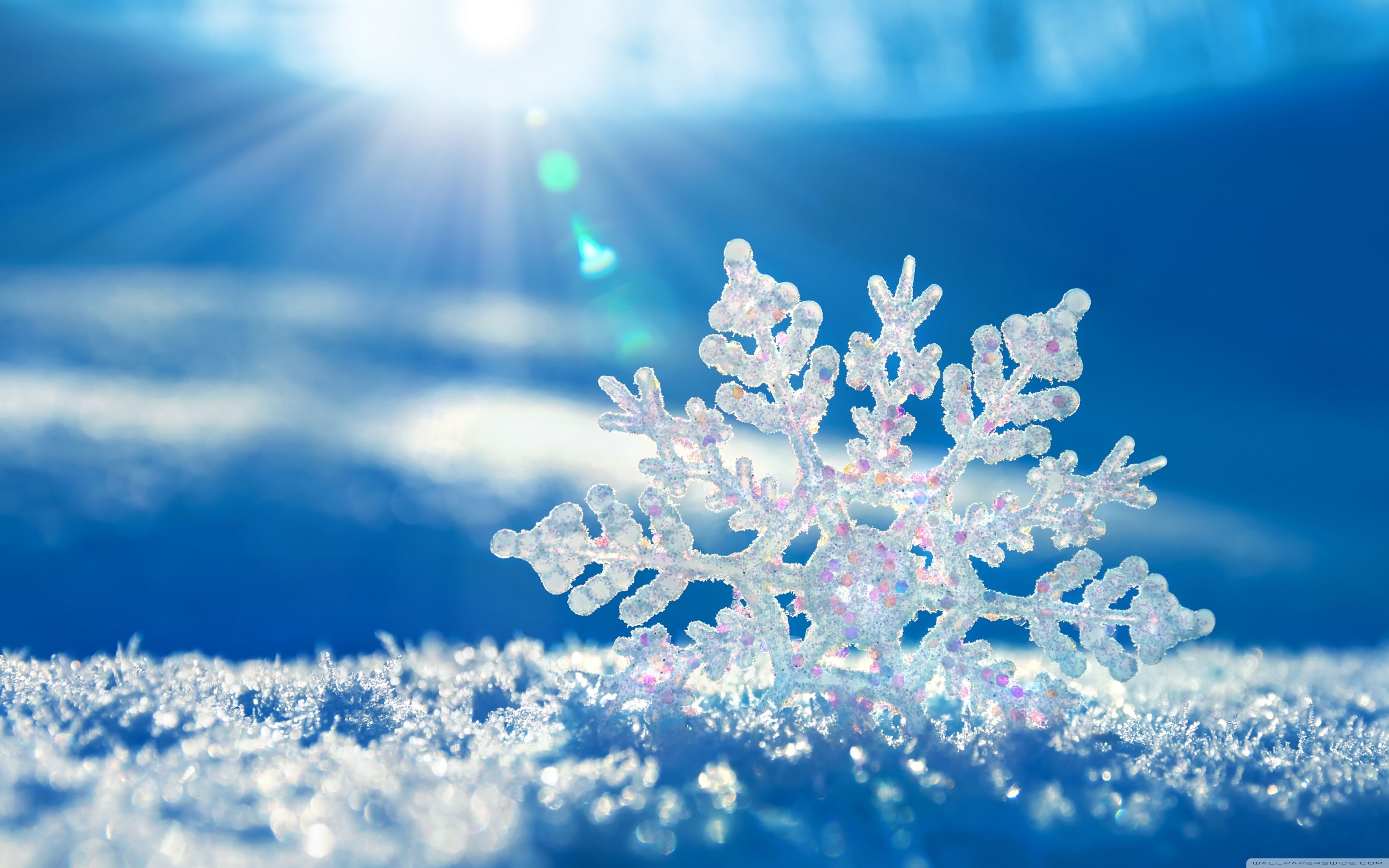 How history's first photos of snowflakes were made