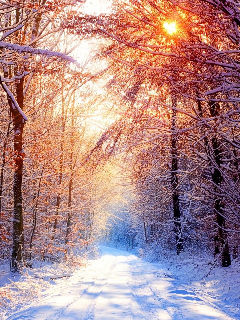 Winter iPad Wallpapers - 4k, HD Winter iPad Backgrounds on WallpaperBat