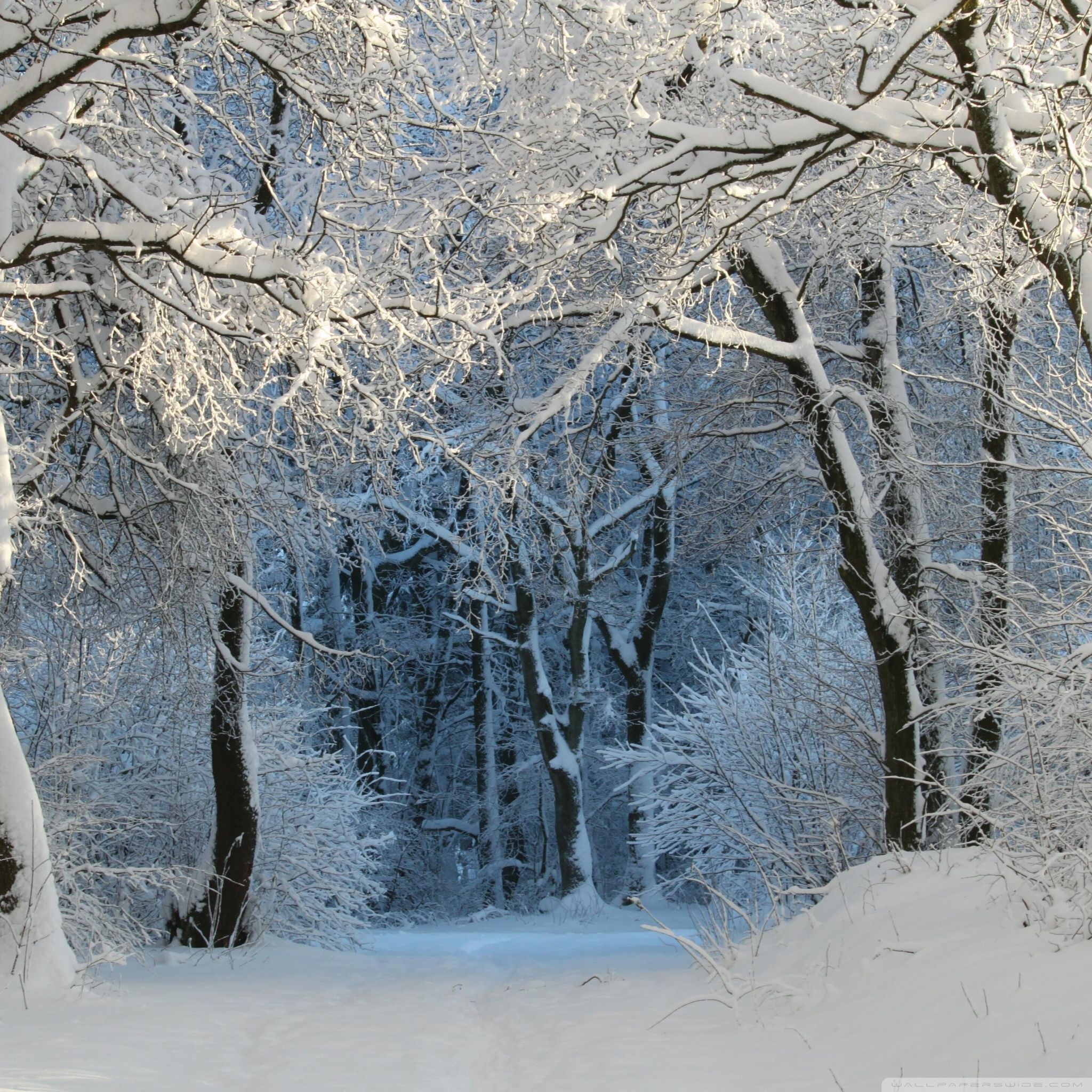 Winter iPad Wallpapers - 4k, HD Winter iPad Backgrounds on WallpaperBat