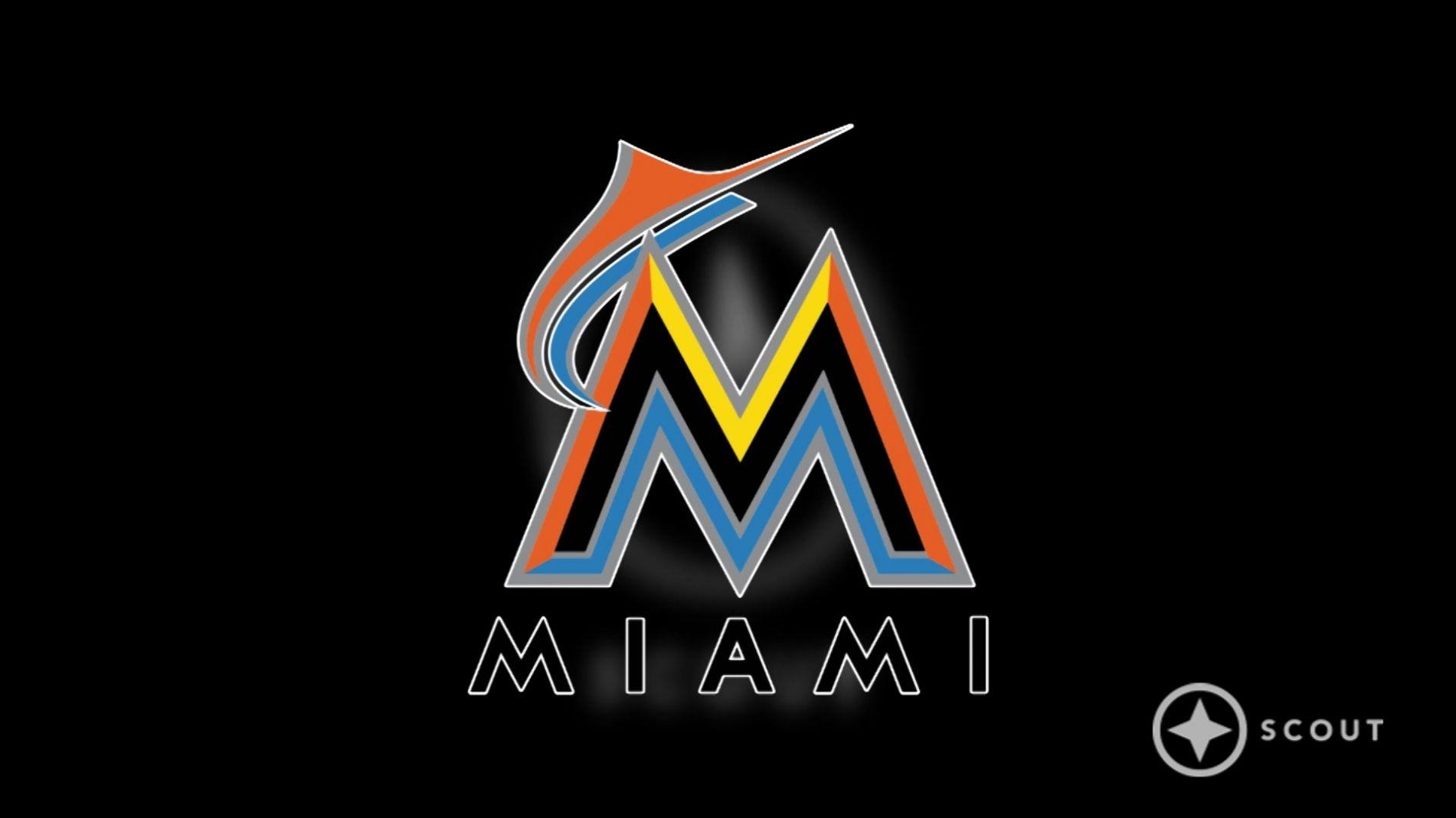 Village Florida Marlins Wallpaper Border in the Wallpaper Borders  department at