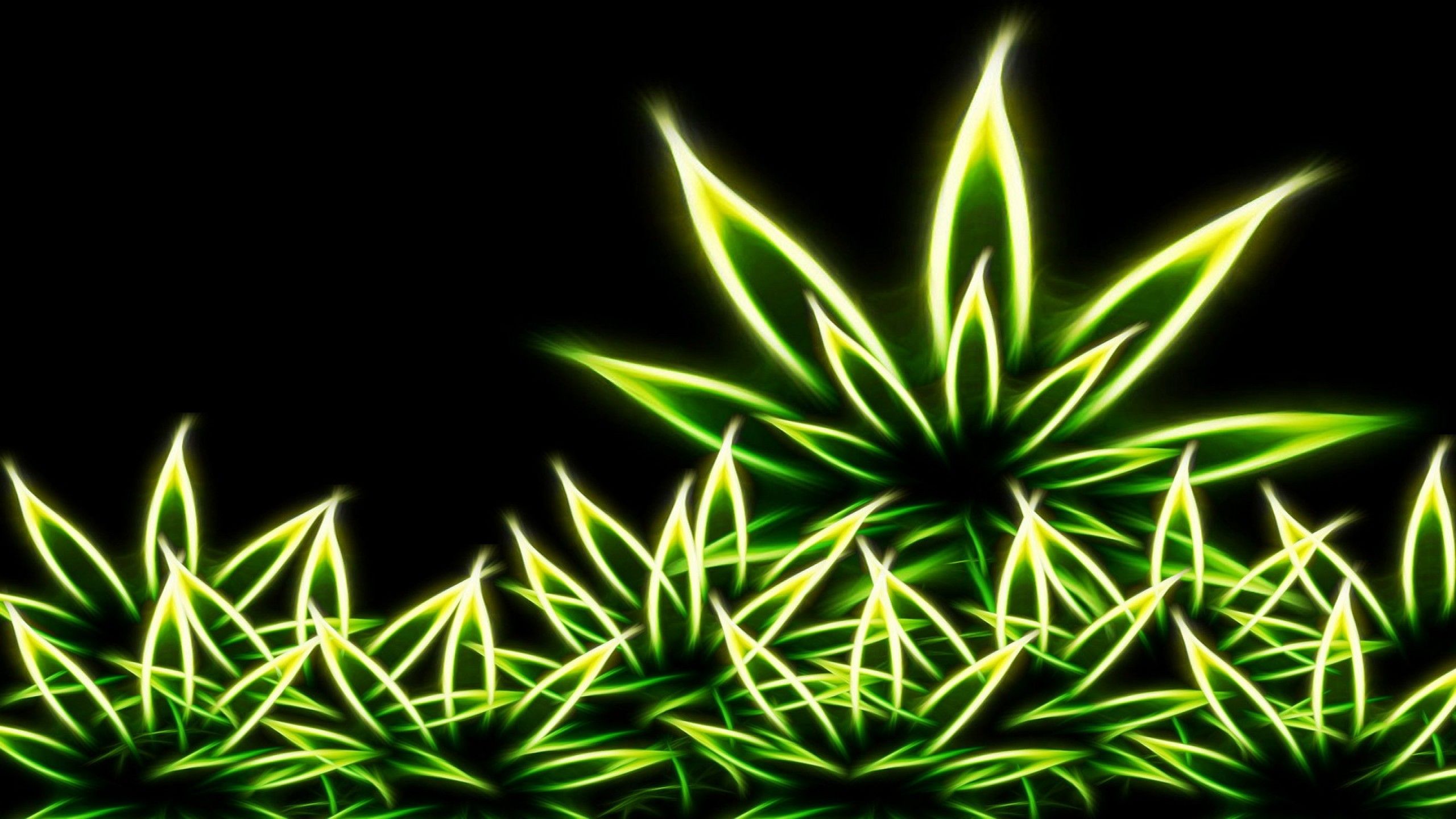 2560x1440 Weed Black Walpaper Weed Background - Trippy Weed Background HD -...