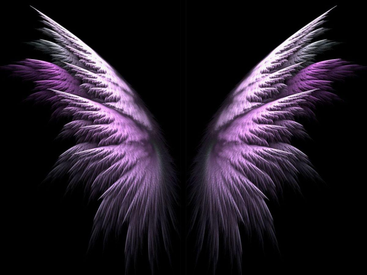 Angel Wings Wallpapers 4k Hd Angel Wings Backgrounds On Wallpaperbat