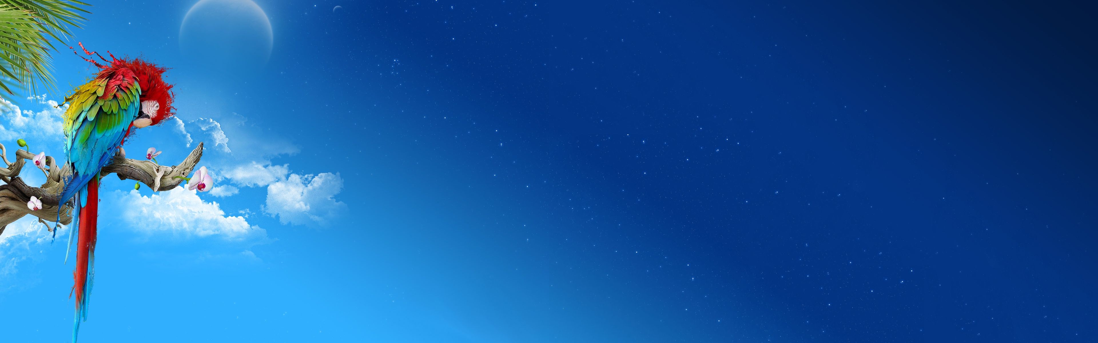 3840X1200 Wallpapers - 4k, HD 3840X1200 Backgrounds on WallpaperBat